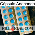 Cápsula Anaconda new08